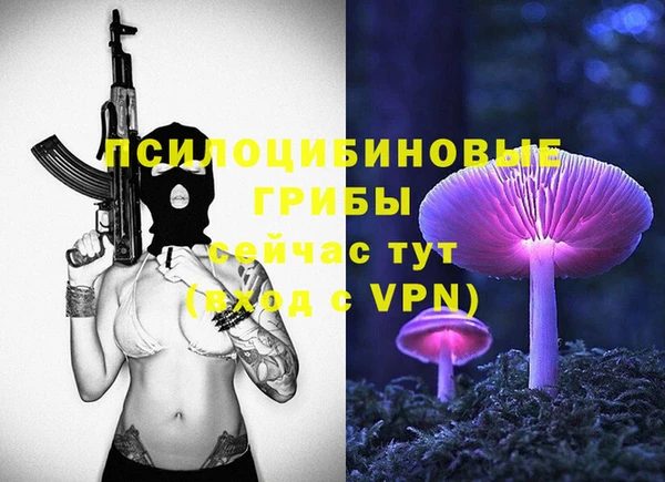 гидра Баксан