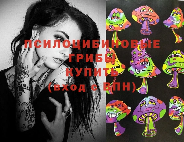 гидра Баксан