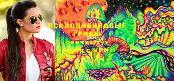 PSILOCYBIN Балахна