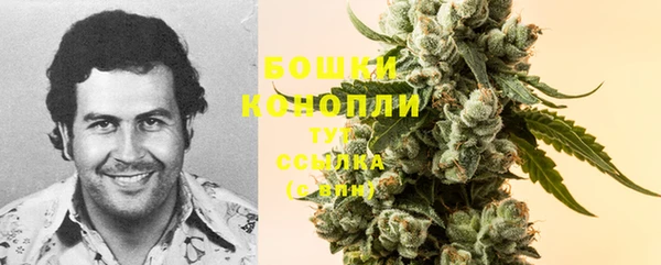 PSILOCYBIN Балахна